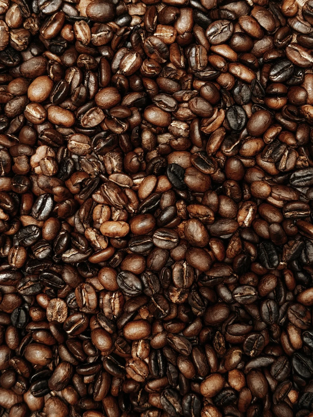Coffee beans representative product photograph